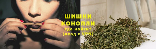 ALPHA PVP Новозыбков